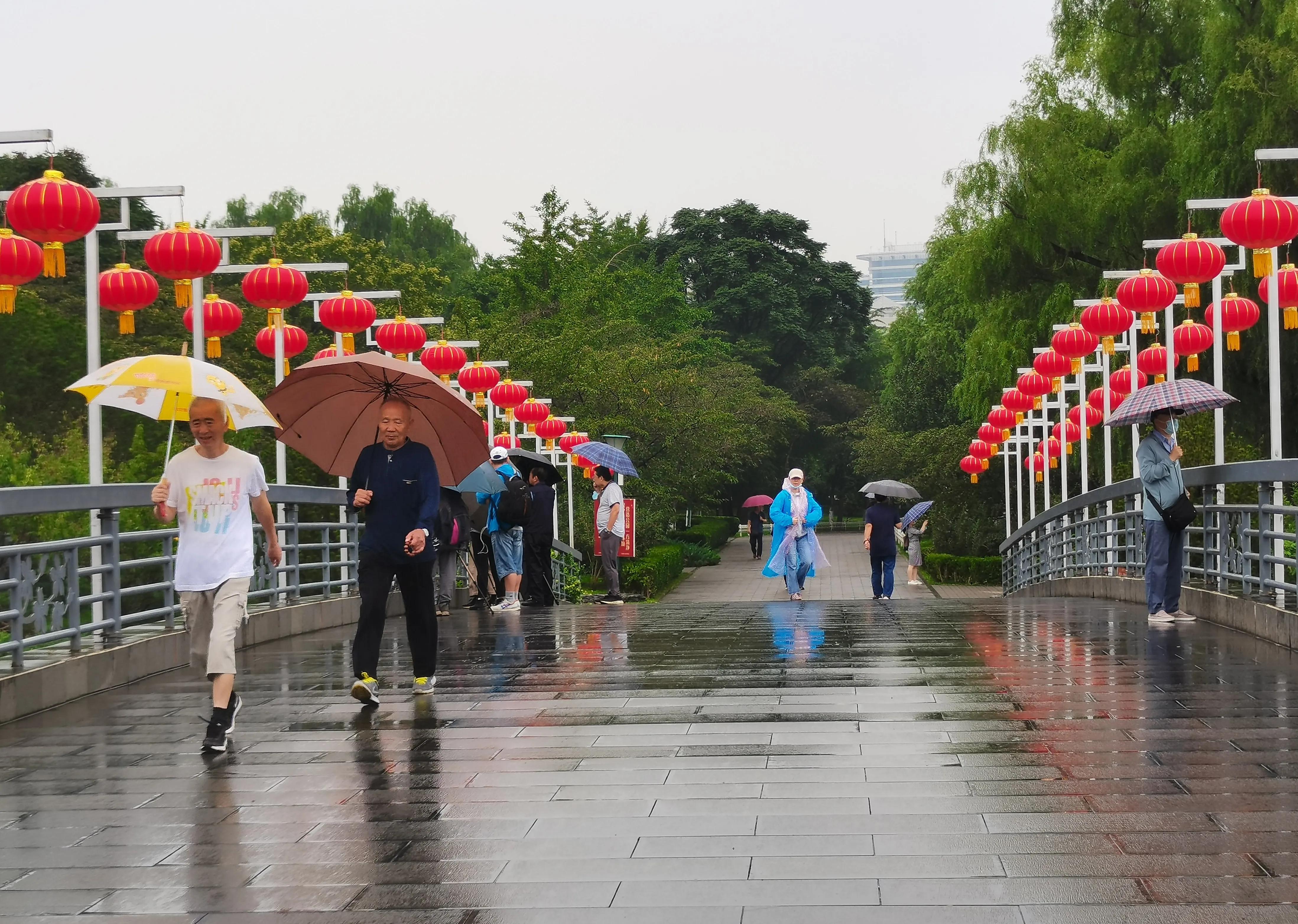 雨天公园的美丽景色图片