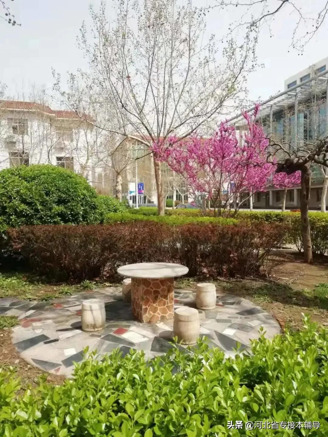 衡水学院：相比上一年招生减少1/3的名额