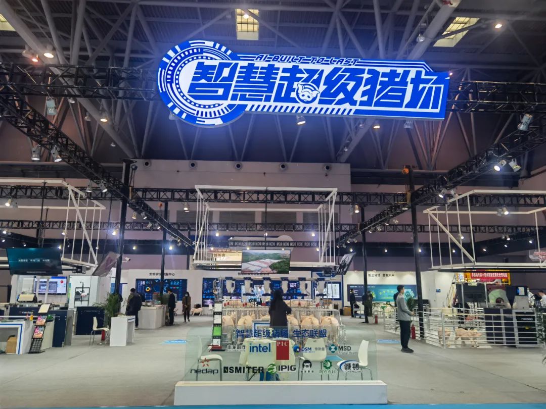 猪价重回7元时代，行业面临四大风险！智慧养猪大势所趋