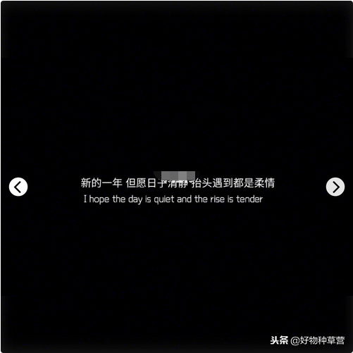 「适合一月置顶的说说」新年新气象 激励自己拥抱更好的新生活！