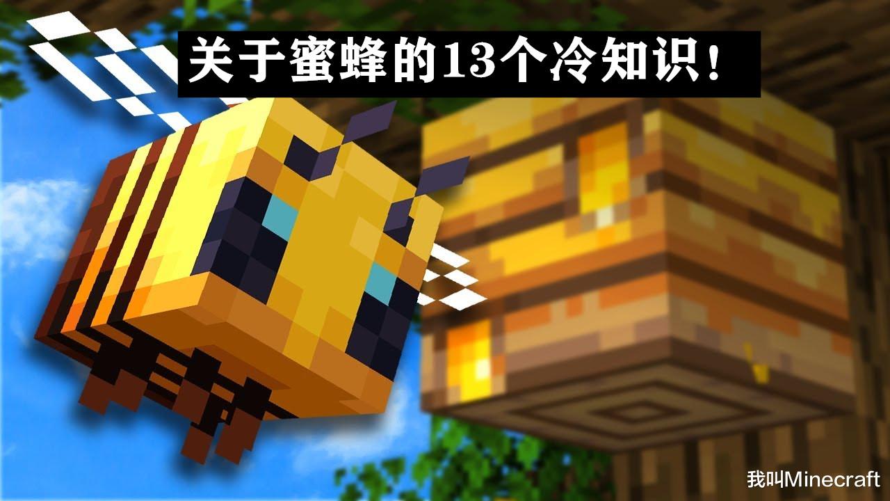 Minecraft蜜蜂养殖指南：关于蜜蜂，你可能不知道的13个冷知识