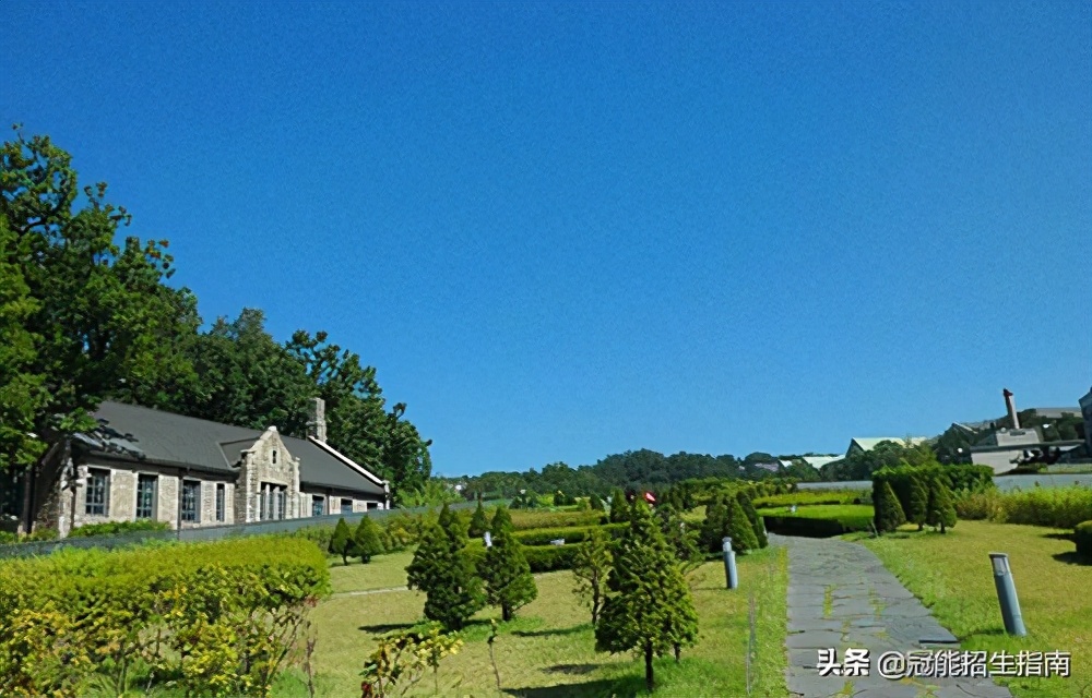 成都哪些卫校护理专业比较好-护理专业就业前「钱」景如何？