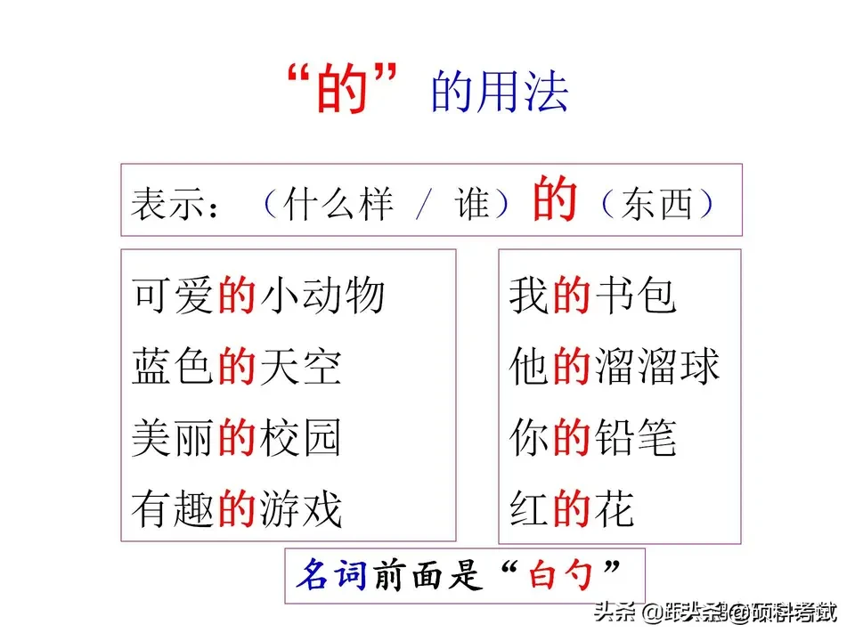 春风拂面，花儿竞相绽放，校园里一片生机盎然。