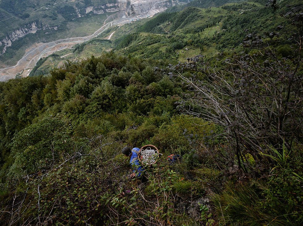 乡土散文：那条山间小径