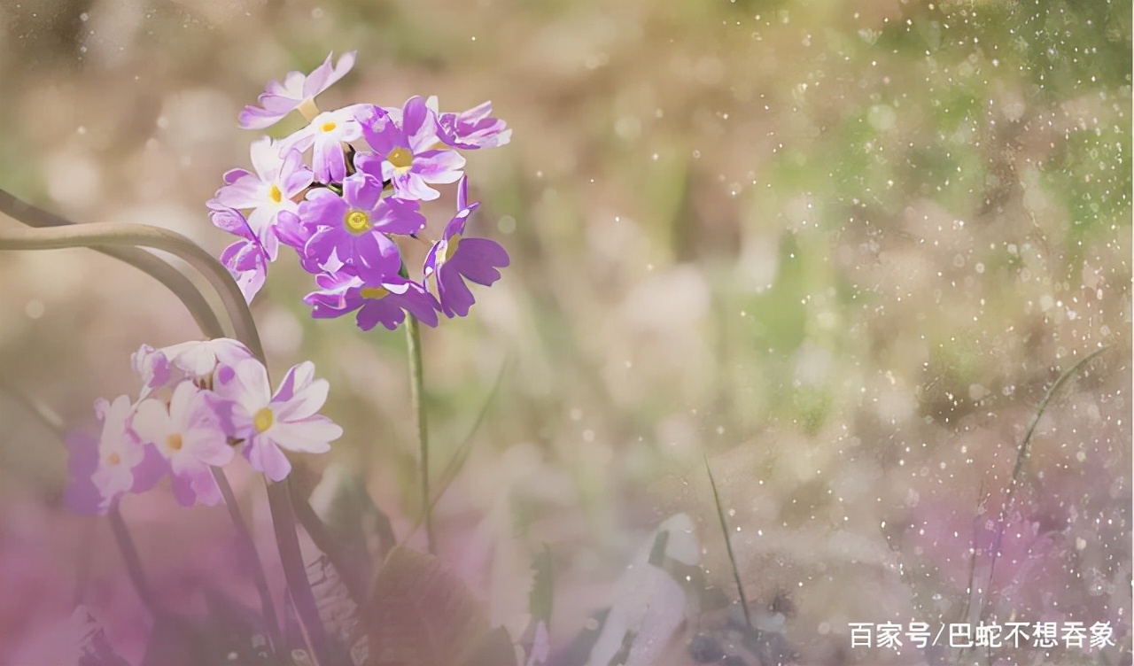 劝你，无论和谁相处，感情再好，都要记住这三句话（美文）