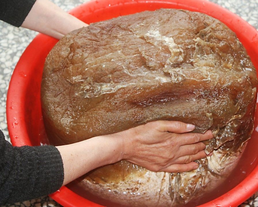 太岁到底是什么生物太岁是个什么生物