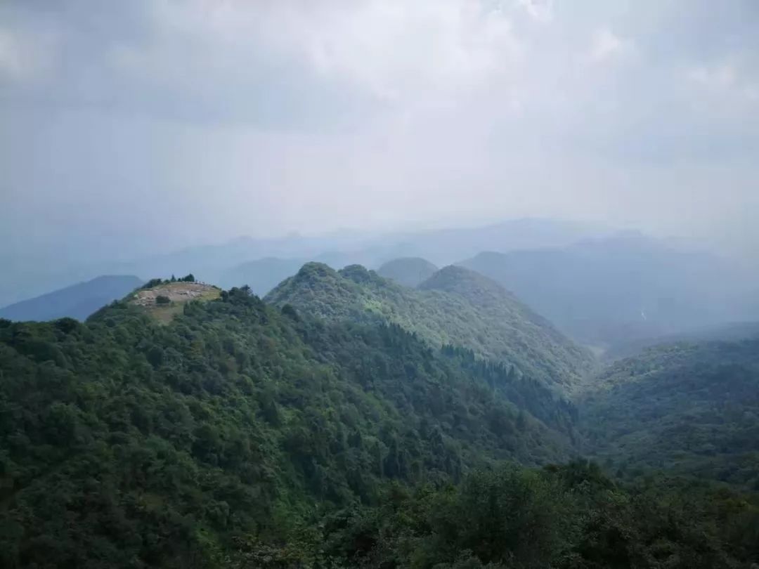 重庆最高峰（重庆冷知识最高的山峰在哪里）