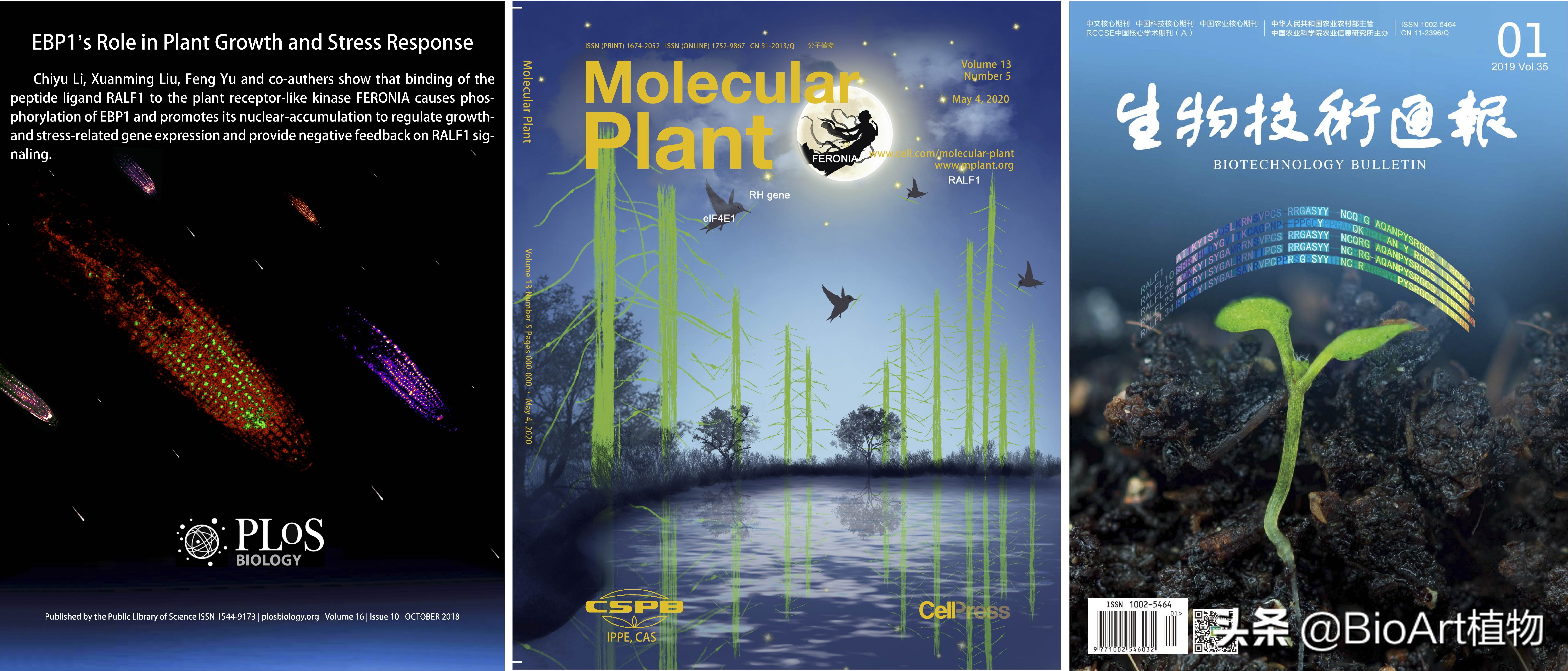 湖南大学于峰教授课题组博士后招聘启事