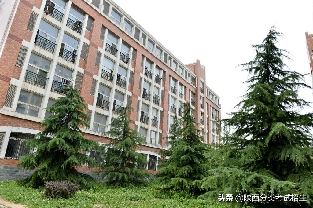 陕西艺术职业学院2020年分类考试招生章程