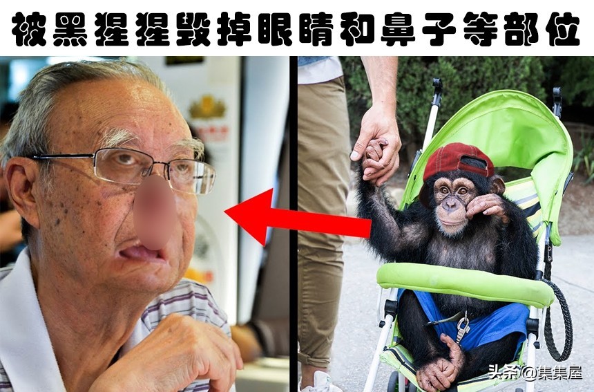 人类在驯化动物的时候，所出现的7种错误