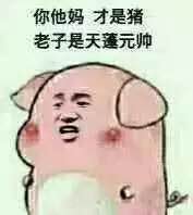 关于猪的卡通表情包：乖巧的像只小猪仔