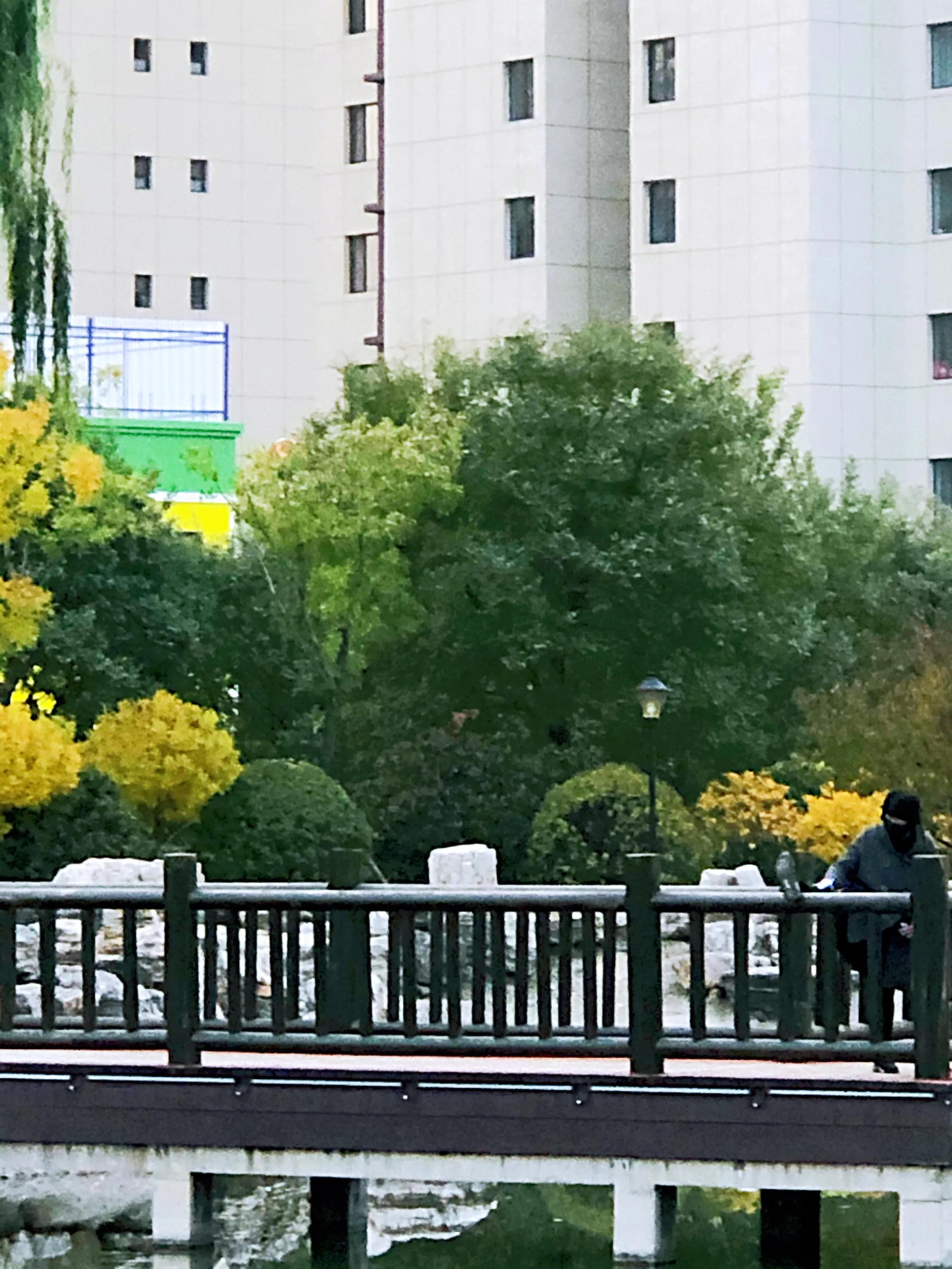 遇到很美的秋·图说深秋