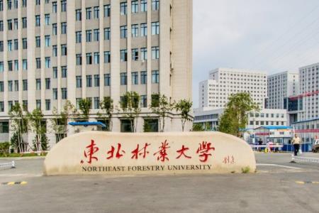 东北林业大学2016-2017年各省录取分数及段位统计表