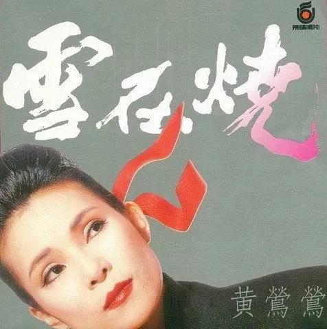 雪在烧电影剧情解析「详细介绍」