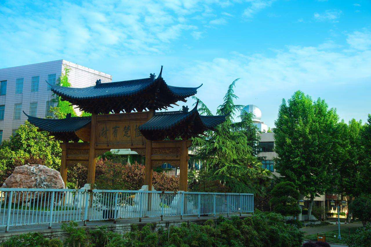 武汉2020年高考喜报，二中揽获市文科状元，武昌实验中学获区状元