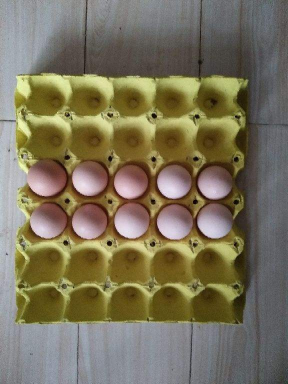 鸡蛋的保质期（鸡蛋这样保存比别人延长保质期两天）