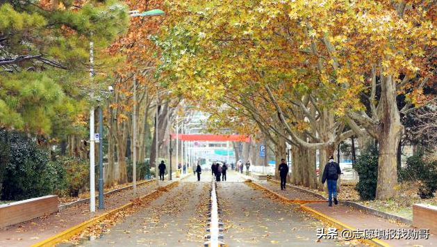 大数据专业很“火”，但报考这个专业，要注意两个细节