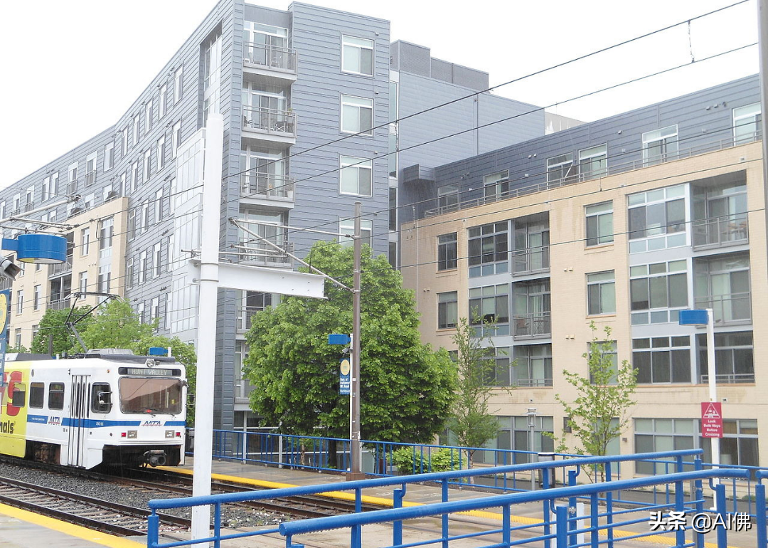 美国最自由的公立大学