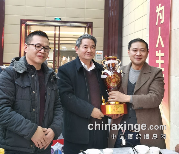 北京七十四岁老将荣获公棚赛鸽冠军，成为养鸽界传奇人物