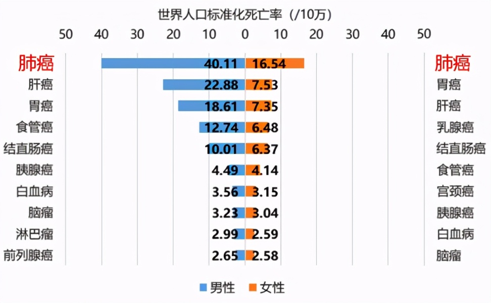 人口死亡率排名