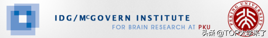 持续补强！北京大学这一顶级研究院1年内连引6位青年科学家