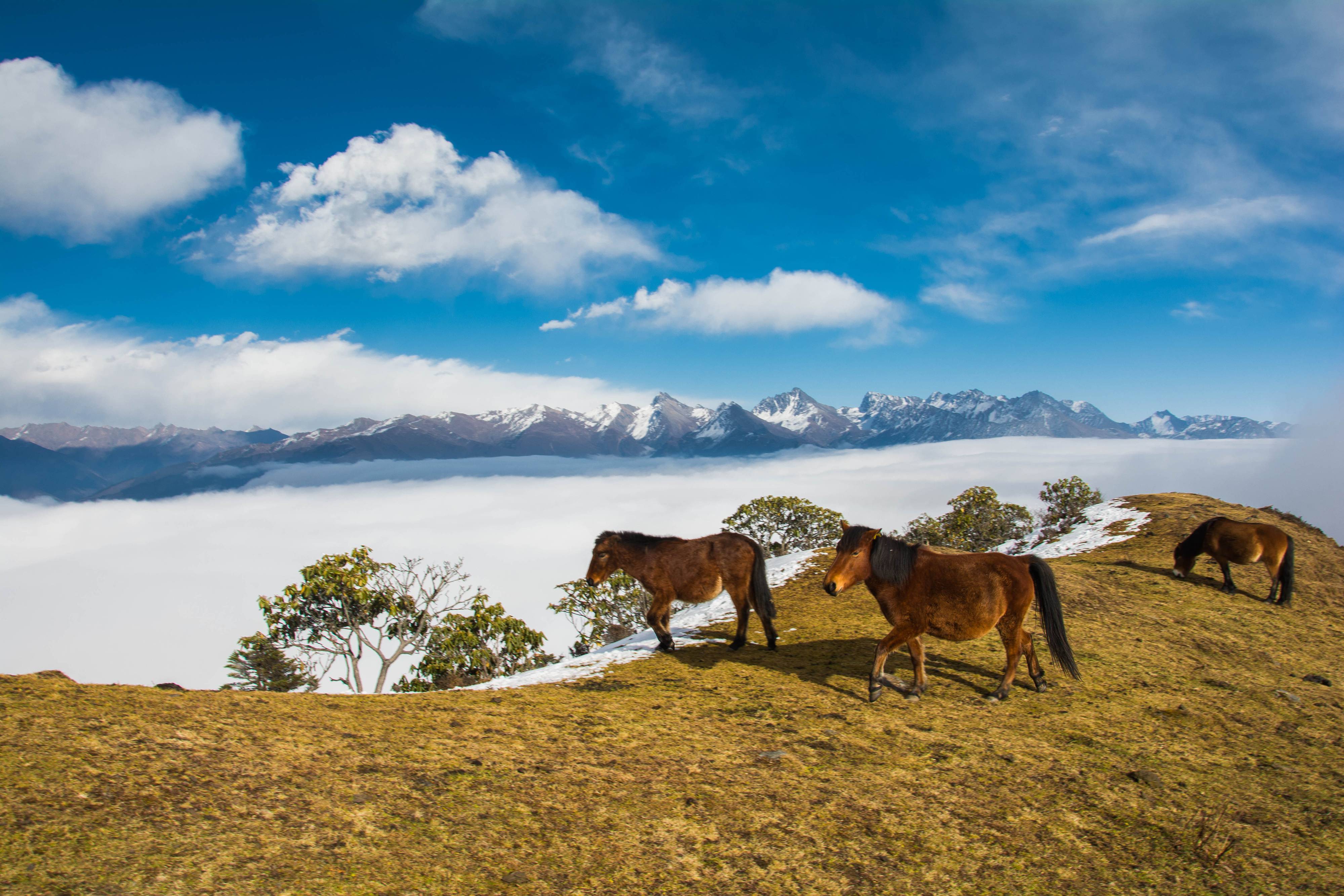 四川·雅安 藏着一座"宝藏山"