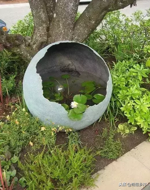 院子里应该有个小池塘，没有就自己动手挖个！（附实际操作图）