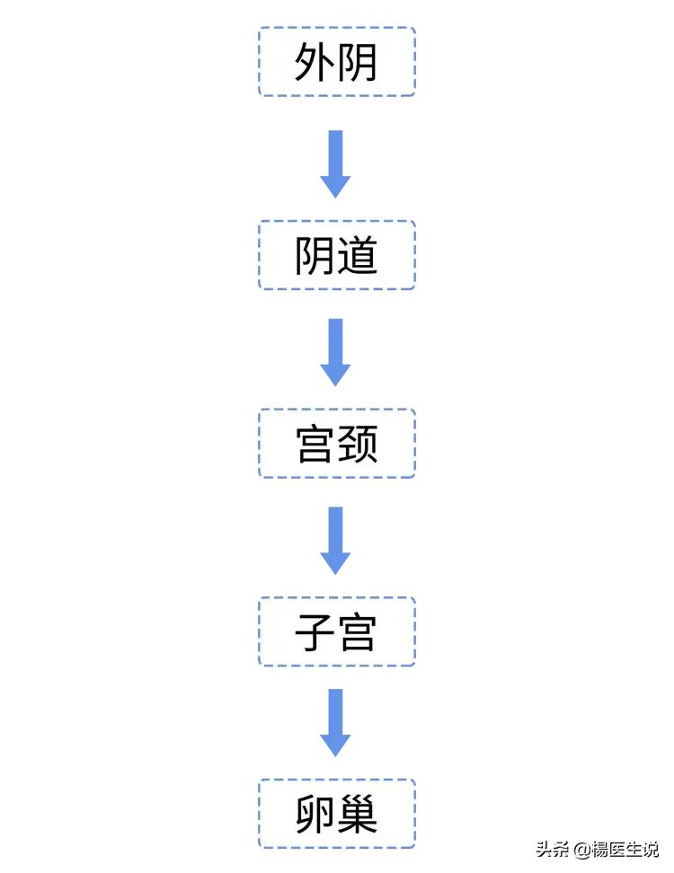 医院让人脸红的“妇科检查”，到底是如何进行的？一次性说清楚！