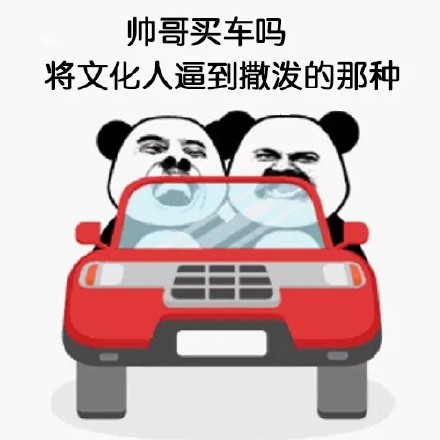 熊猫头表情包合集｜帅哥买车吗？