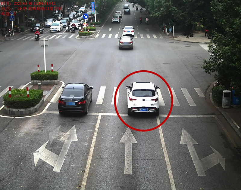 交通违法曝光！