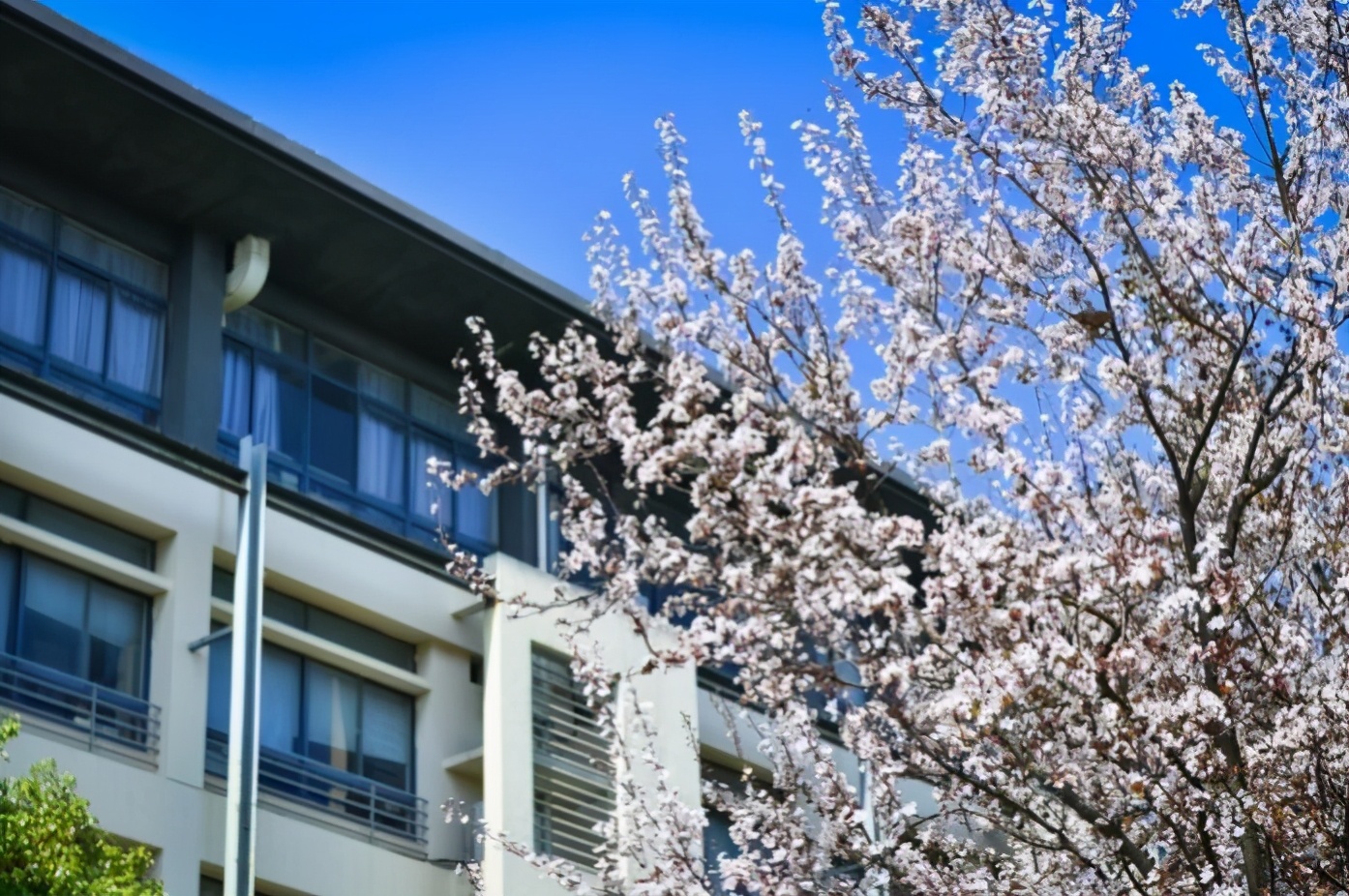 助力“大国重器”！上海这所高校仅用“三根线”创造多项“中国第一”！