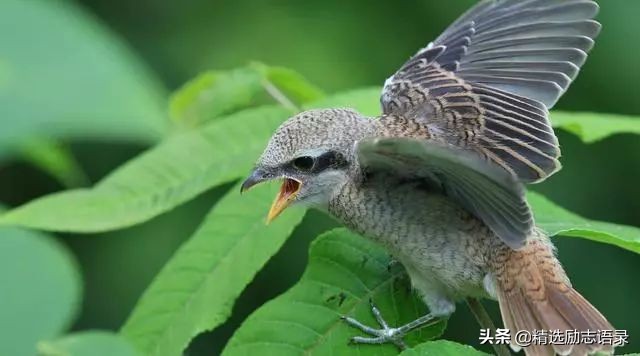 冷，不靠灯；穷，不靠亲！写的好真实