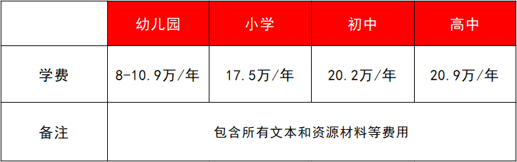 深圳国际学校学费（深圳国际学校学费10W）