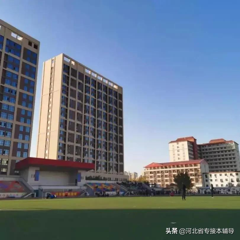 衡水学院：相比上一年招生减少1/3的名额