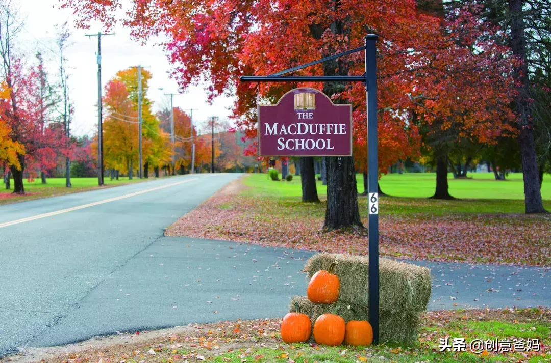 “百年蓝血贵族”美达菲学校(南京) 简介