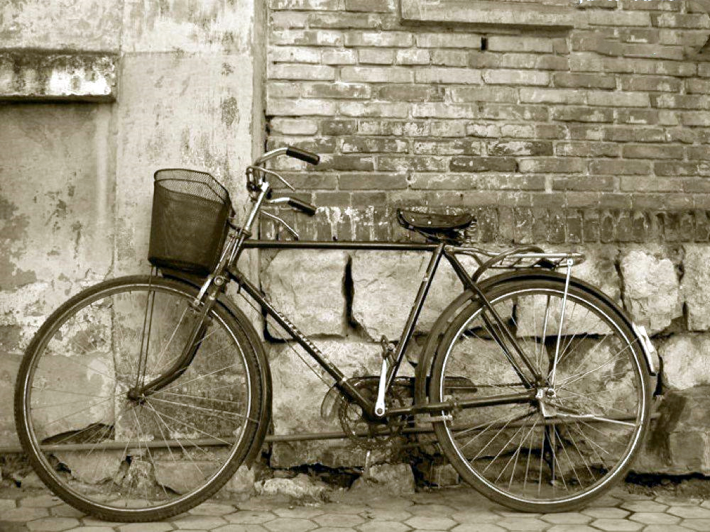 凤凰自行车是哪里生产的（关于凤凰自行车的品牌发展史）