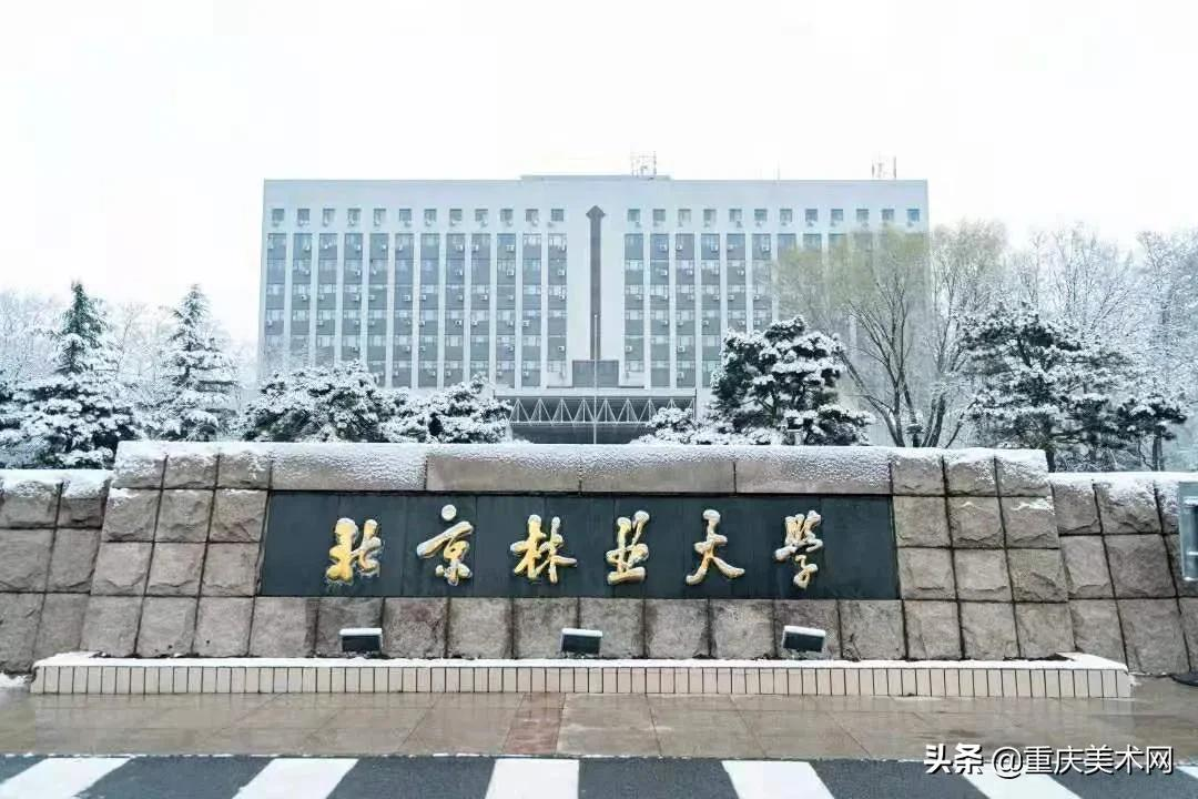 艺考生,为什么要去大城市读大学?