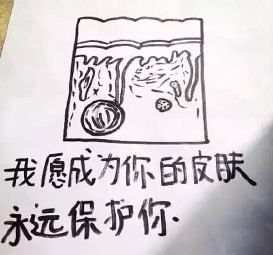 医学生520情话表情包：我愿成为你的皮肤，永远保护你