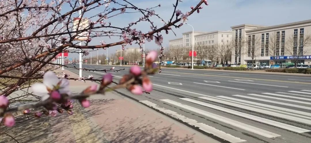 2020年武清泗村店如何发展？一大波好消息赶来