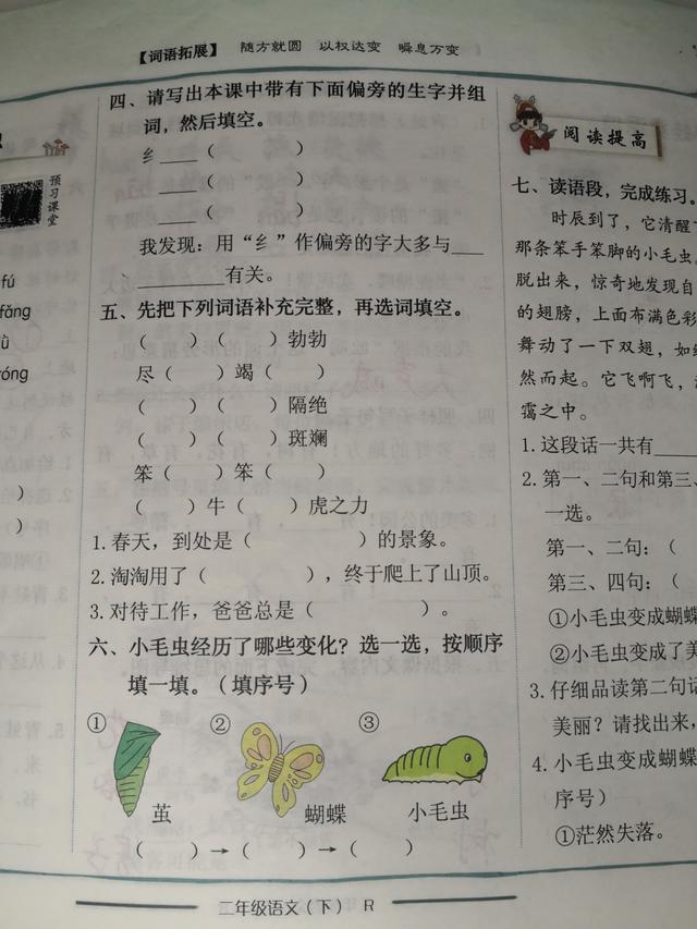 二年级下册22课看《小毛虫》化茧成蝶，掌握知识，弄懂道理