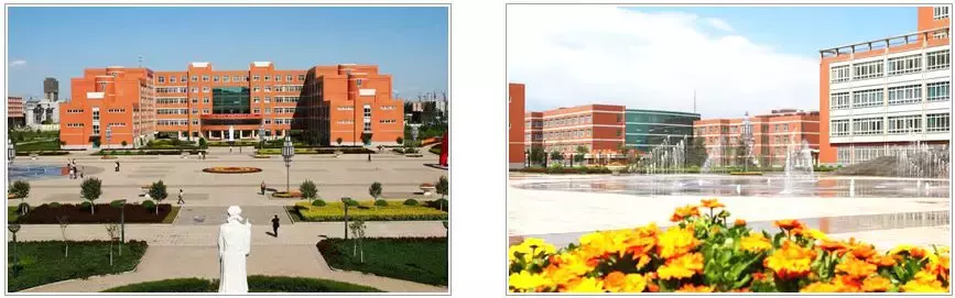 宝鸡文理学院招人啦！机会难得，快去试试