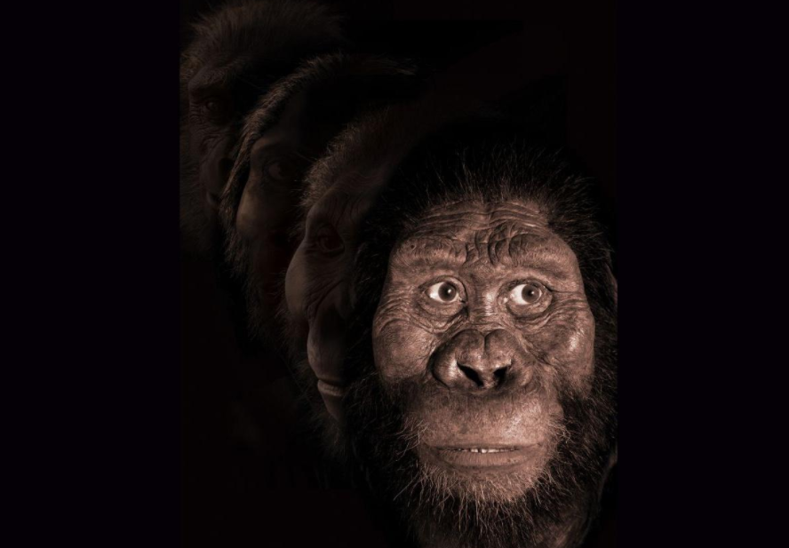 中国人非本地起源？研究：现代人抵达华南不超过6万年