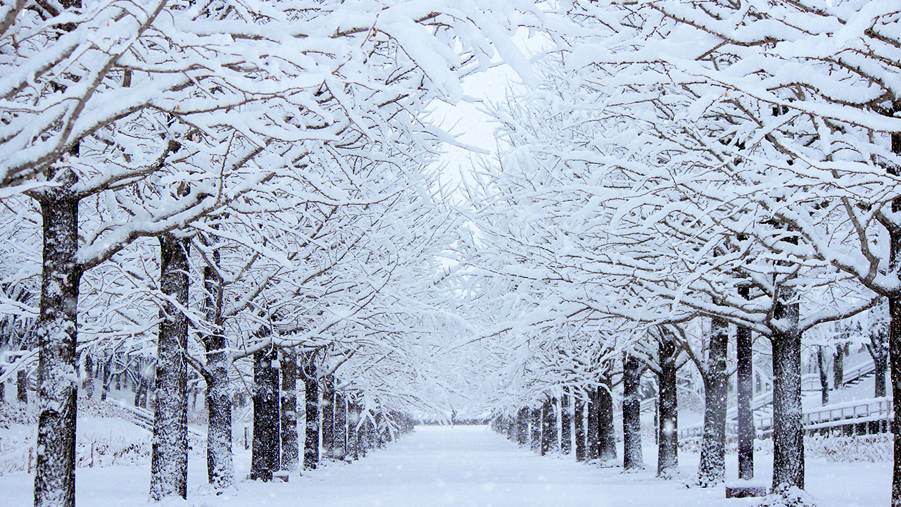 史前地球下了一场大雪，持续了3亿年，赤道都结冰了