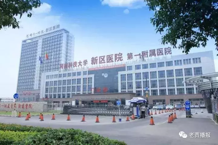 最新!2019最全通讯录来了,关键时救急
