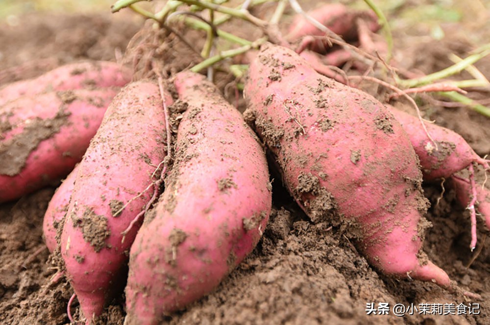 全国哪里的红薯最好吃，经过评比这5个地方比较出名，你都吃过吗