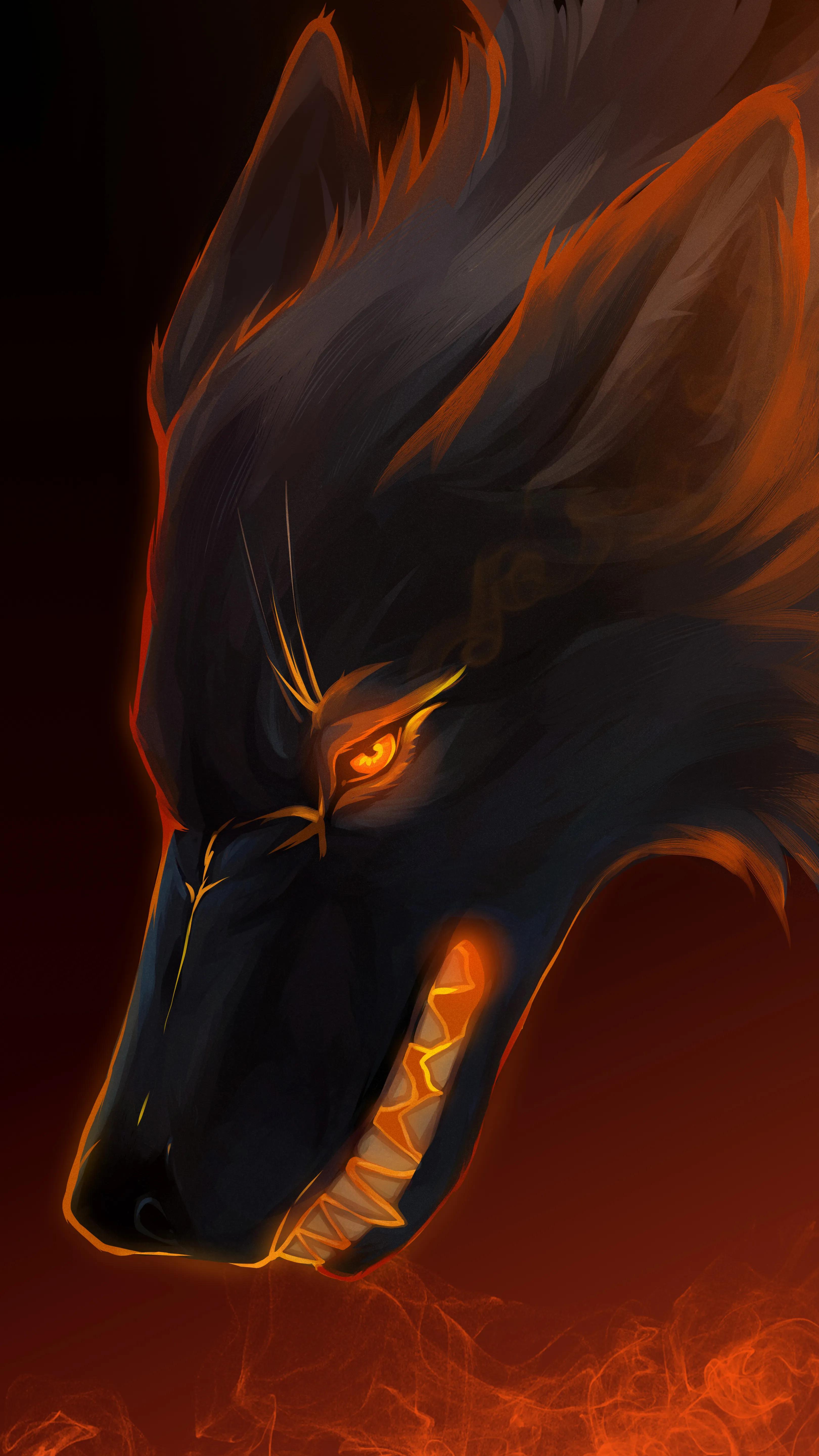 4k壁纸|狼,经过无数次残酷争斗,在狼的世界,只相信强者