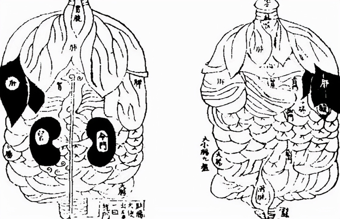 略说中国社会的遵医重教史