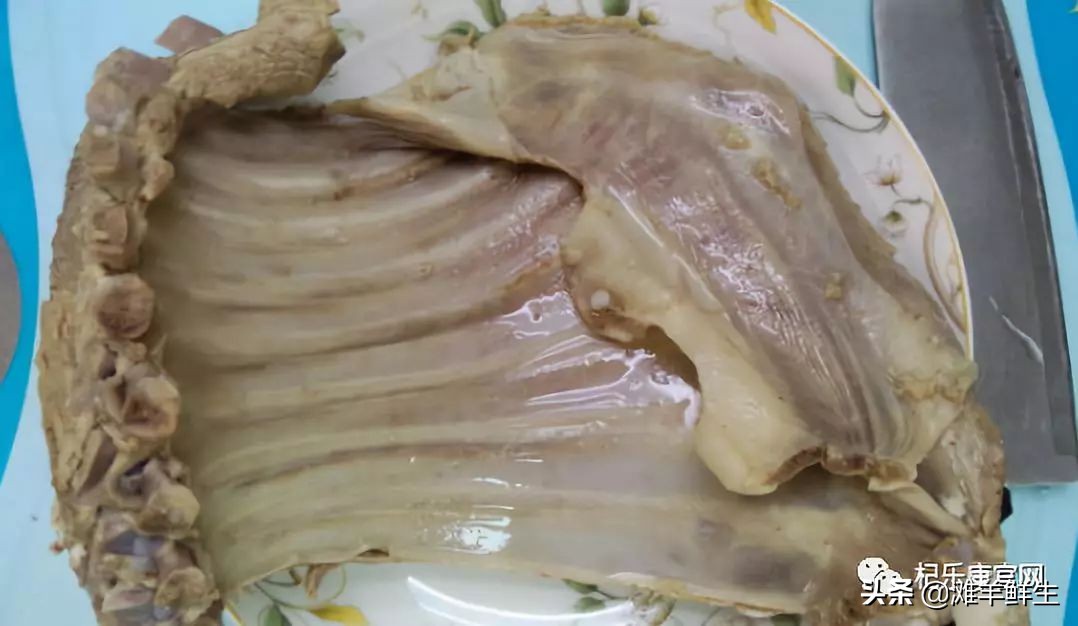 没有什么能比这碗手抓羊肉更沁人心脾，何况在冬天