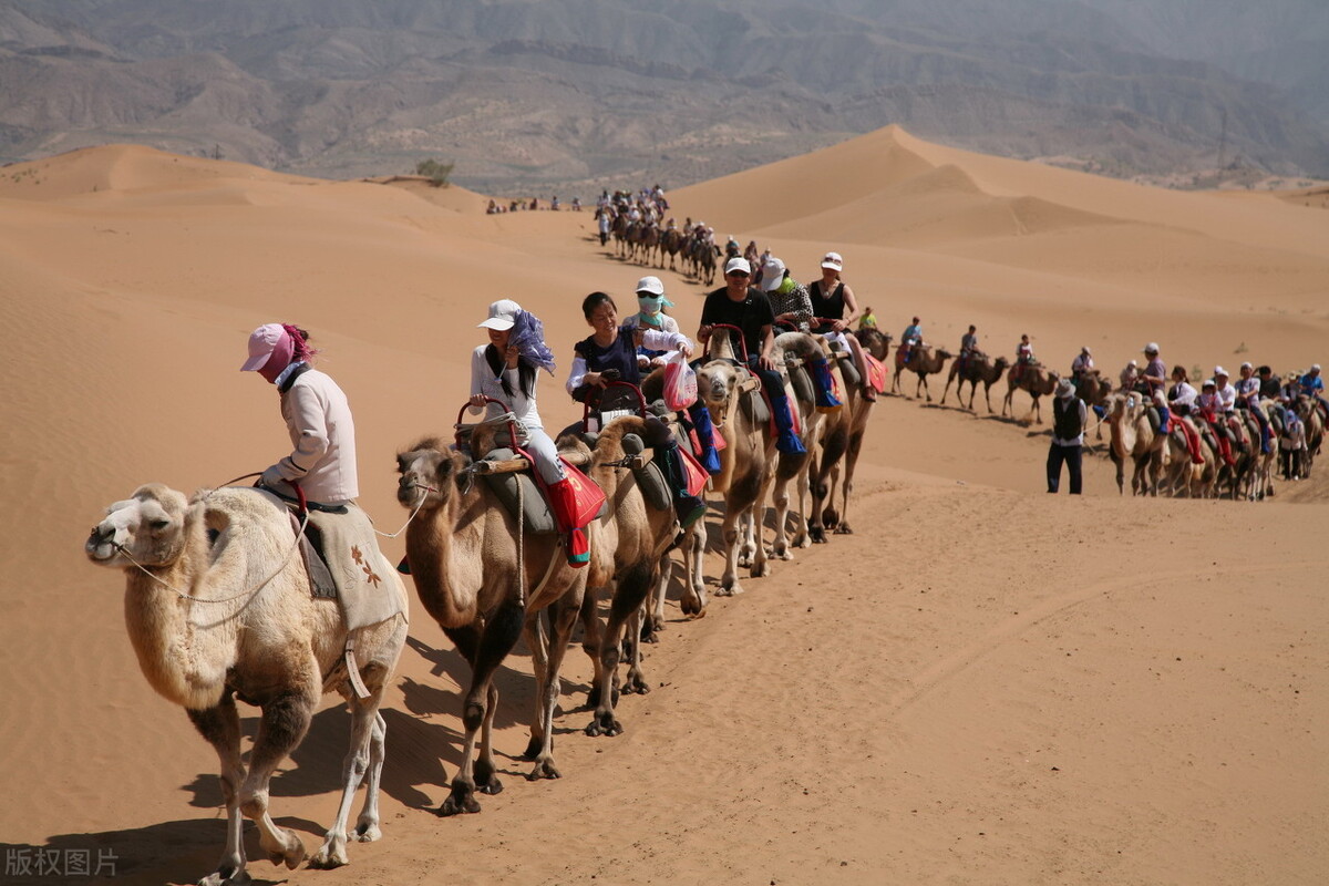 2021年31省市美术类本科录取最低控制线是多少？2020年的收集全了