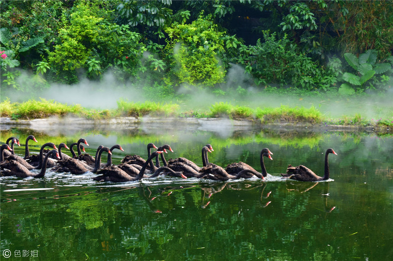 三天三夜欢乐长隆之旅（附攻略）